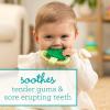 image:imageInfantino Lil Nibbles Textured Silicone Teether BPAFree Baby Teething Toy Soft Easy to Hold Sensory Stimulation for Infants BroccoliBroccoli
