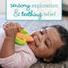 image:imageInfantino Lil Nibbles Textured Silicone Teether BPAFree Baby Teething Toy Soft Easy to Hold Sensory Stimulation for Infants BroccoliCarrot
