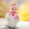 image:imageInfantino Water Teethers  Sensory Exploration Teething Cooling amp Massaging Relief for Sore Gums Lime amp Blue 3PackLime  Pink