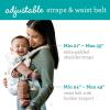 image:imageInfantino Flip 4in1 Convertible Baby Carrier Adjustable Ergonomic Babywearing Registry Essential Baby Carrier for Newborn to Toddler LeopardRainbow